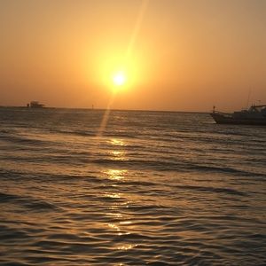 Meet your Posher, Khushi